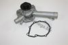 AUTOMEGA 30121001000AA Water Pump